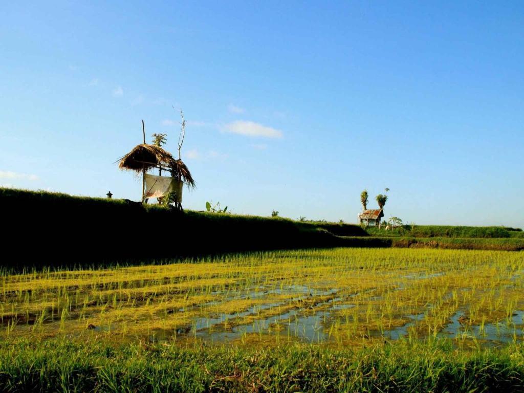 Omah Apik 4* Ubud